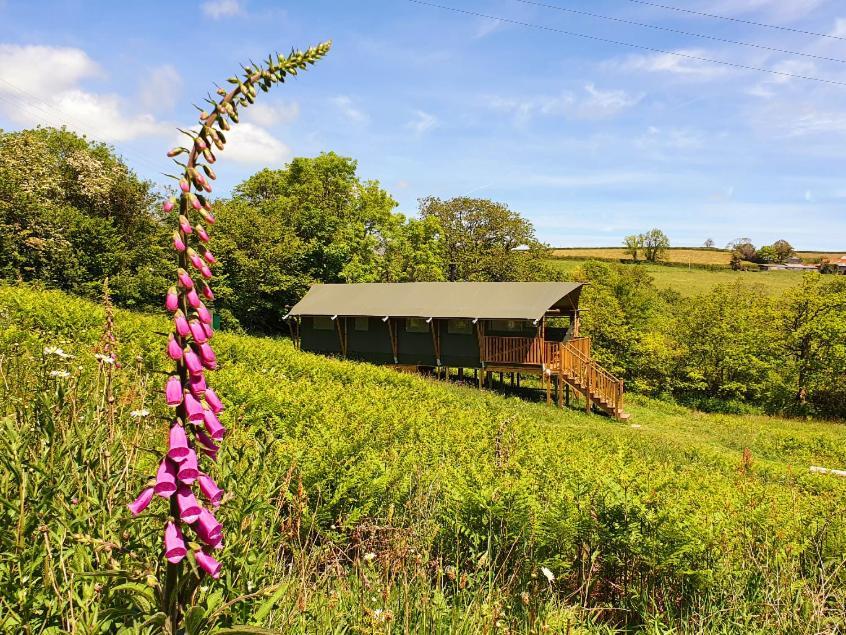 Brackenhill Glamping - Safari Tent With Hot Tub - Sleeps 6 アイビーブリッジ エクステリア 写真